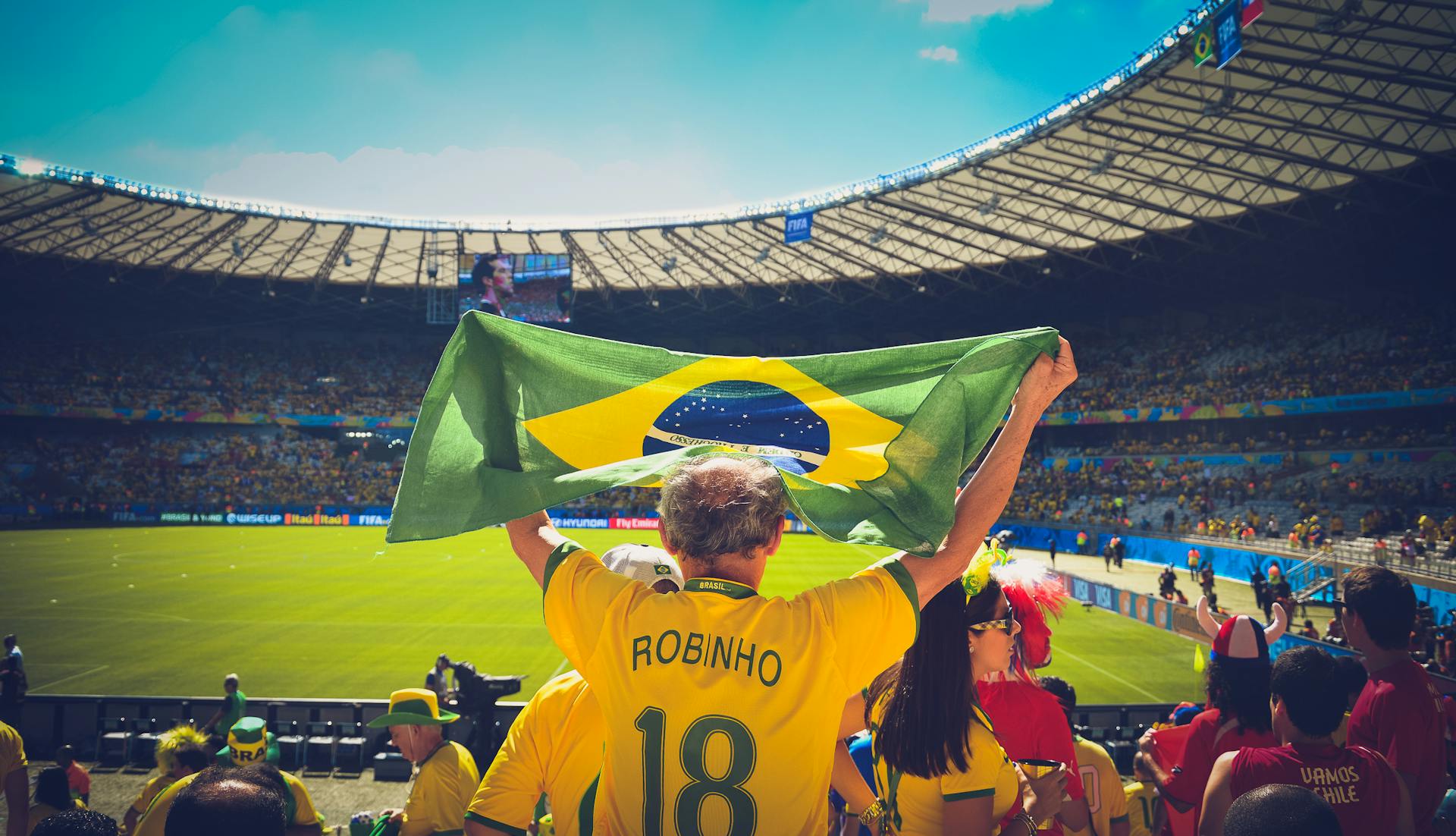 Brazil fan